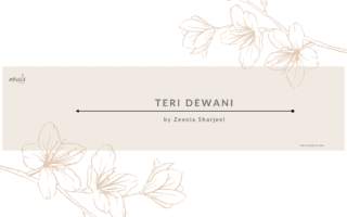 Teri Dewani Novel By Zeenia Sharjeel
