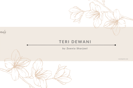Teri Dewani Novel By Zeenia Sharjeel