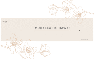 Muhabbat ki hawas Bold Romantic Novels, mafia based PDF OR Read Online
