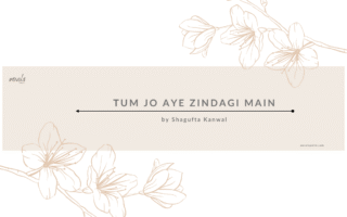Tum Jo Aye Zindagi Main Cousin Marriage Based Funny Novel By Shagufta Kanwal Season 02