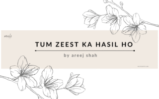 Tum Zeest Ka Hasil Ho novel by Areej Shah