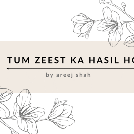 Tum Zeest Ka Hasil Ho novel by Areej Shah
