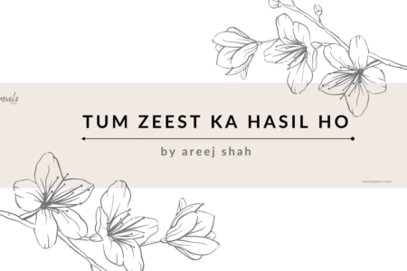 Tum Zeest Ka Hasil Ho novel by Areej Shah
